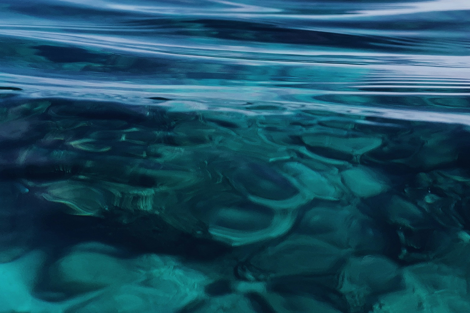 Wealth Managers Talk Risk Mitigation in an Increasingly Messy Market featured image